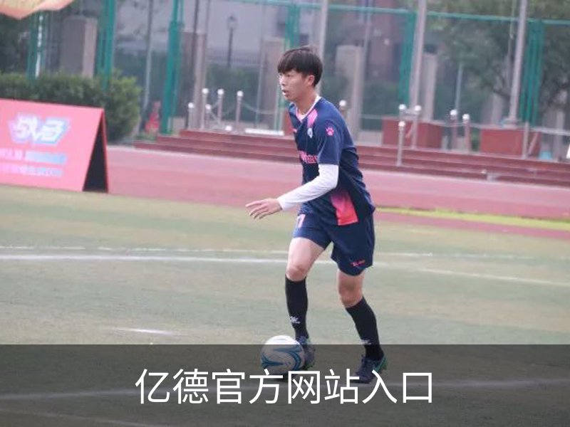 了解亿德官方网站入口
